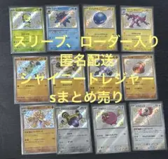 シャイニートレジャー s 色違い まとめ売り