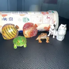 希少　不明　レア　カプセルトイ 動物フィギュア 6体セット