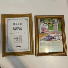 ナカバヤシ　Nakabayashi A4 額縁　賞状額　金ケシ