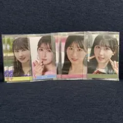 =LOVE 山本杏奈 封入まとめ売り