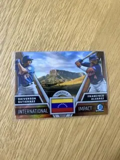 Venezuela francisco alvarez・gutierrez