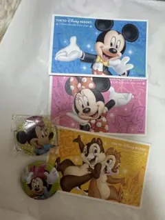 東京ディズニーリゾート チケット 缶バッジ