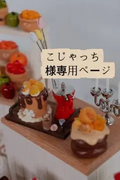 こじゃっち様専用ページ