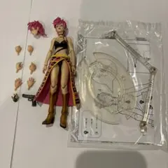 超像可動 アナスイ