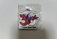ポケモン 30周年 メタルチャームマスコット　コライドン