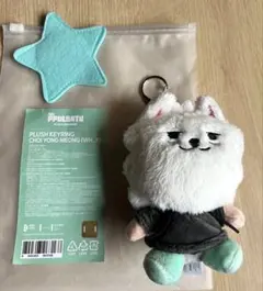 TXT プルバトゥ ポップアップ ぬいぐるみ キーリング ヨンモン　スビン