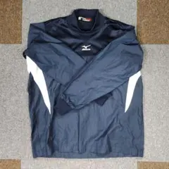 Item thumbnail for item 8b1eab0d-0ed2-41e2-9b35-16cfe5ad3f64