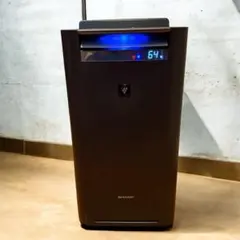 Item thumbnail for item 4dfc426c-c9b5-41a4-bf49-bc426c421215