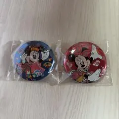 ディズニーランド　バッチ