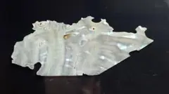 Item thumbnail for item 842d4f04-4382-4cc4-a719-960d69f93ffc