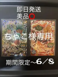 【ドラゴンボールヒーローズ】CP孫悟空　孫悟飯:少年期
