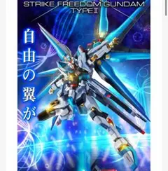 【新品未開封】METAL R魂 ストライクフリーダムガンダム弐式初音ミクVer.