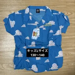 Item thumbnail for item e5703a0c-f189-4631-80d7-0d3aaf11ec04