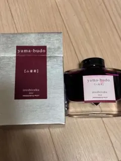 PILOT 色彩雫 山葡萄 50ml 万年筆インク