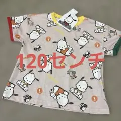 新品　ポチャッコ tシャツ 120センチ ③のサムネイル
