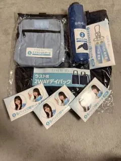 日向坂46 ローソンくじ ラスト賞 フォトブックレット 折りたたみ傘