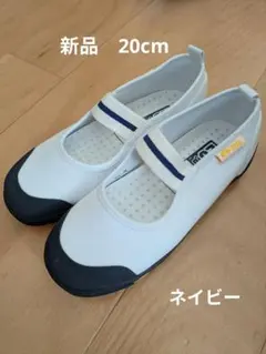 ムーンスター 上履き 20cm