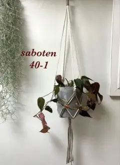 おば様 リクエスト 2点 まとめ商品