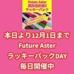 20種類のリボンを自由に組み合わせてお選び下さい　業界最安値！ラッキーパック