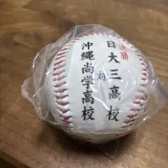 【決勝ボール】第107回全国高校野球選手権大会 記念ボール