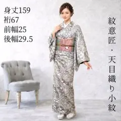 天目織 小紋 紋意匠 薬墨染 灰色 染め織り 蝶 2026年最新】天目織の人気アイテム - メルカリ