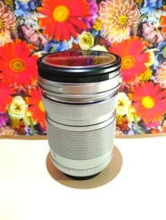 Item thumbnail for item cf117b7e-d026-4e73-a18c-dbb0175dcf3d