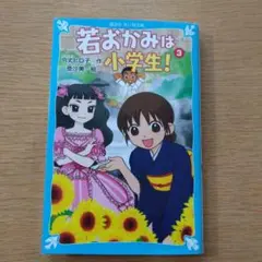 Item thumbnail for item 3ddf7b27-7f82-40e0-8453-a6605c9d362e