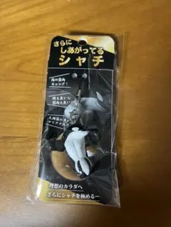 須磨シーワールド　さらにしあがってるシャチ　岩本照