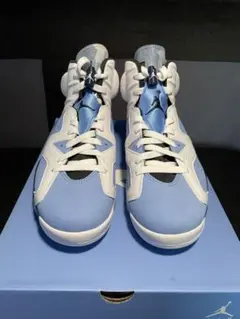 Air Jordan 6 UNC 26cm