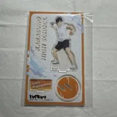 ハイキュー!! 影山飛雄 アクスタ 水遊び