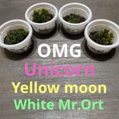 2026年最新】yellow moon dwarfの人気アイテム - メルカリ
