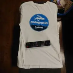 USA製パタゴニアTシャツ