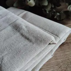 Item thumbnail for item c8c8466f-a40b-4619-bd50-3dc9d227becc