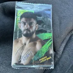 Item thumbnail for item e608af2b-1d85-45bf-9c37-147f34322e93