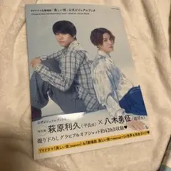 美しい彼 公式ビジュアルブック