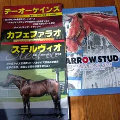 2026年最新】スタリオンブックの人気アイテム - メルカリ