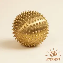 Shakti シャクティ☆Wonderball ワンダーボール - メルカリ