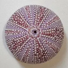 さくらんぼ様 リクエスト 3点 まとめ商品