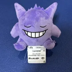 ポケットモンスター いろんなおかおぬいぐるみ　ゲンガー　眠り顔