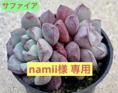 namii様 リクエスト 4点 まとめ商品