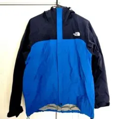 THE NORTH FACE ノースフェイスドットショットジャケット