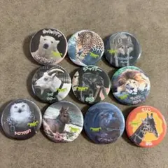 天王寺動物園　てんのうじどうぶつえん　缶バッチ✖️10個