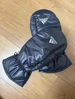 Item thumbnail for item fbddb0c7-5dad-40d9-a80e-9bcb215d8a4f