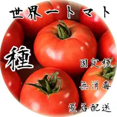 2026年最新】トマト大事典の人気アイテム - メルカリ