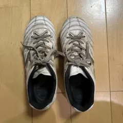 モナルシーダネオ3 スパイク　21.5 箱あり