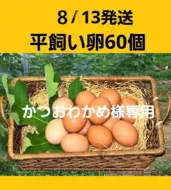 平飼い卵60個８/8常温発送かつおわかめ様専用のサムネイル