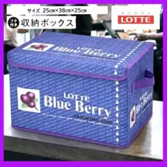 【新品】ロッテ ブルーベリーガム 収納ボックス コンテナBOX レア雑貨　レトロのサムネイル