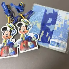 ディズニーバケーションパッケージ チケットホルダー×2＆ミニタオル3枚セット