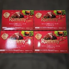 LOTTE Rummy 冬季限定 チョコレート 4箱セット