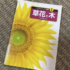 Item thumbnail for item 34ac7a37-e7cc-459d-a65e-09614c8bef29